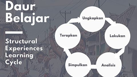 structural experiences learning cycle